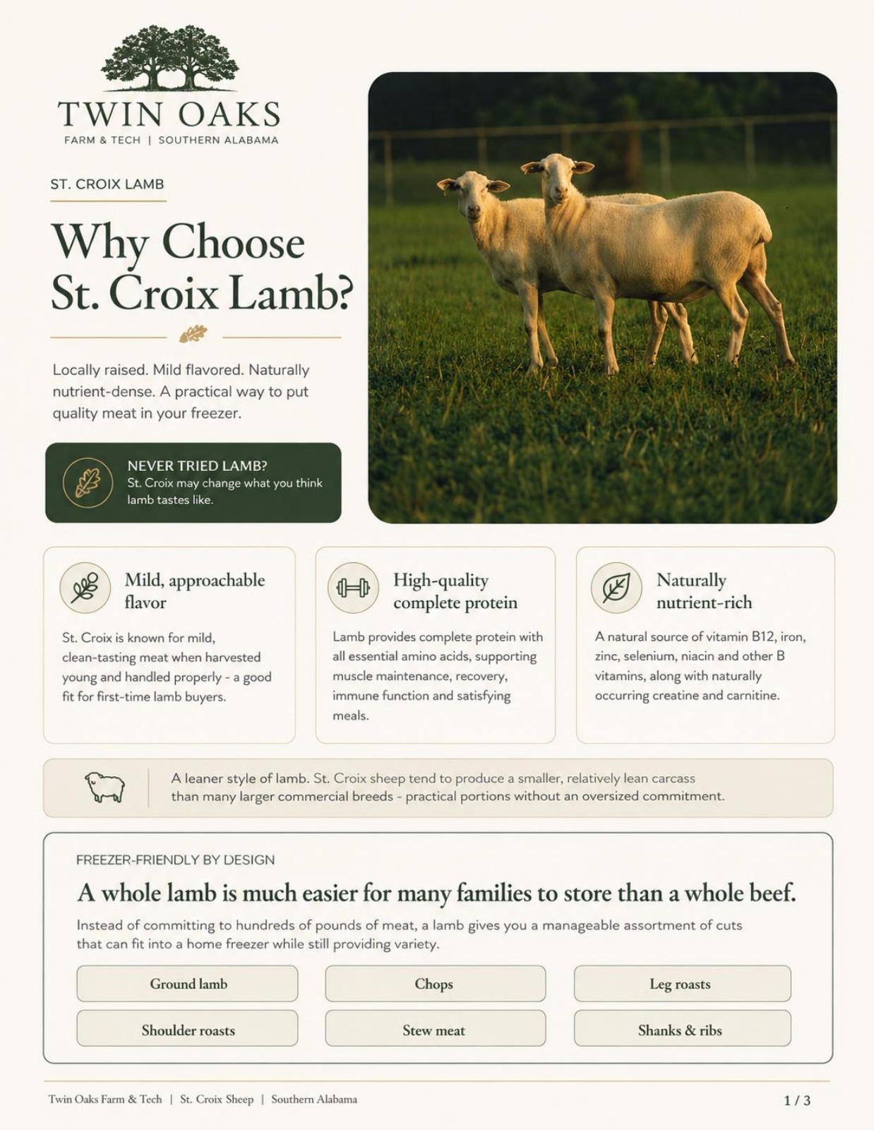 Brochure page 1: Why Choose St. Croix Lamb? Introduces the flavor, nutrition, and freezer-friendly size of St. Croix lamb.