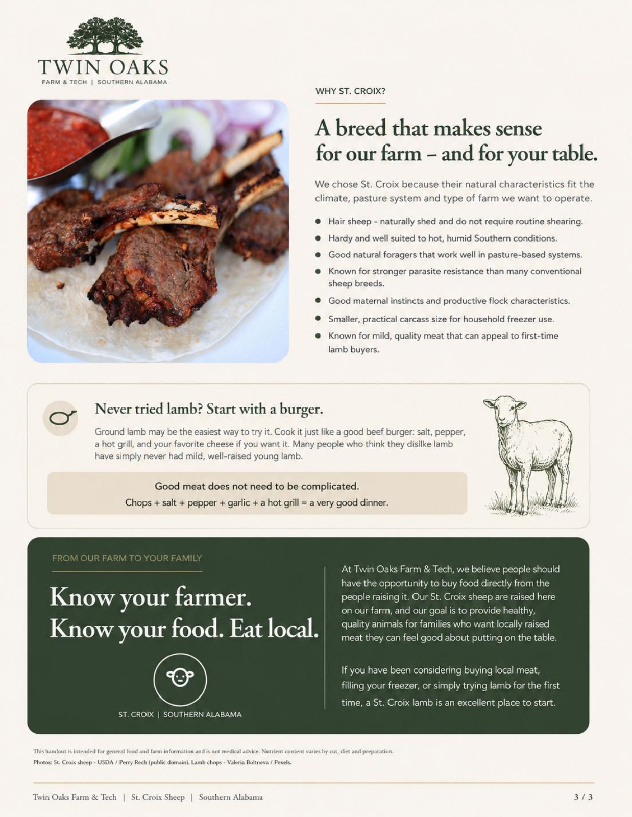 Brochure page 3: Why Twin Oaks raises St. Croix sheep, plus serving ideas and information about the farm.